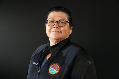 Melinda_Incognito_2.jpg Image